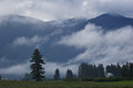 Misty Montana Morning