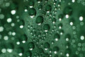 Bubbles