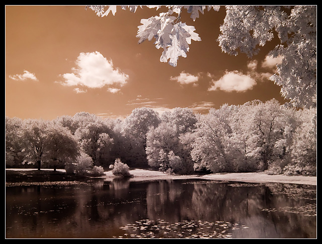 Sawmill Pond