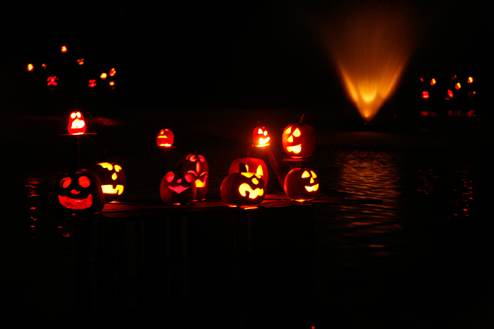Jacks on the Lake