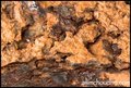 Not submitted: Gastric ulcer (harsh)