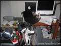 The making of: 12 days (3)