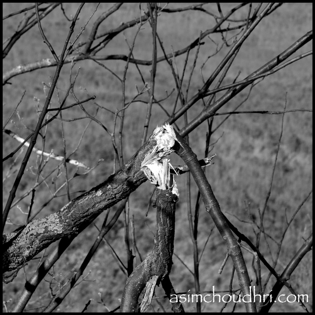 Not submitted: Fractured limb (centered composition)