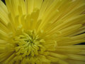 20071011.jpg