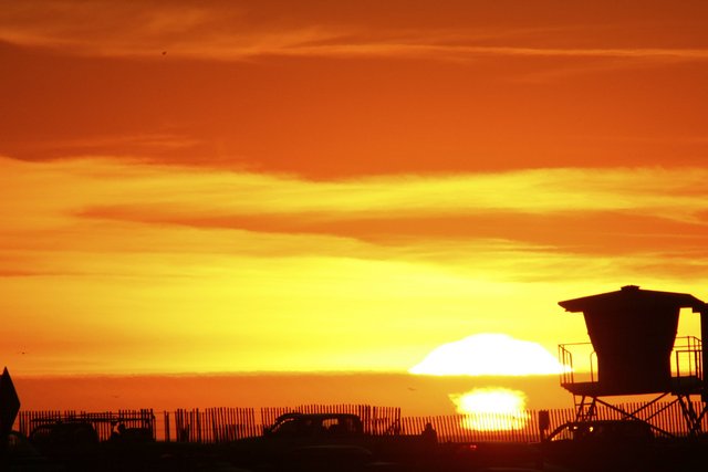 Endless Summer.jpg