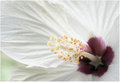 light-on-white.jpg