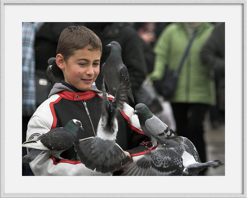 Boy and Pigeons