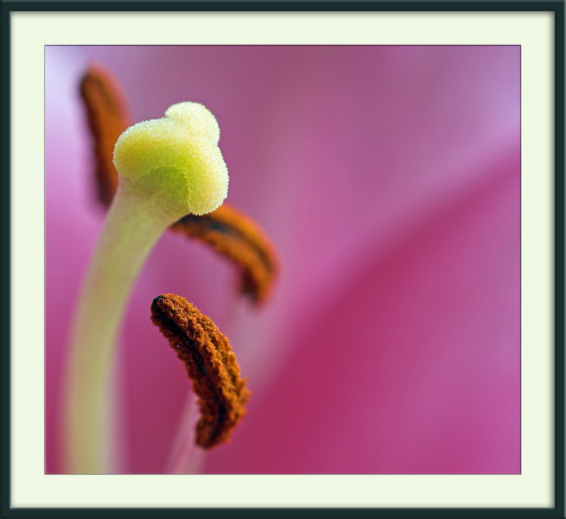 Fragile