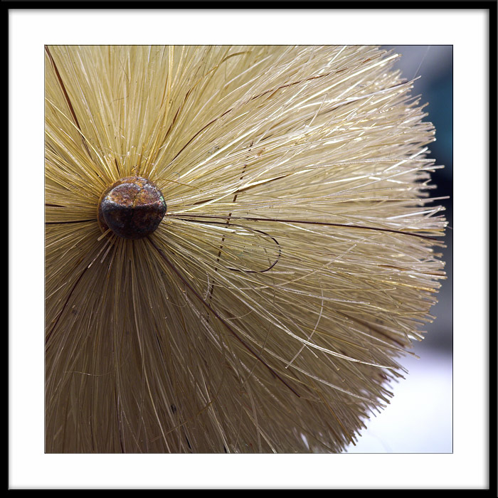 Brush