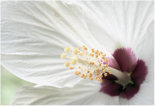 light-on-white.jpg
