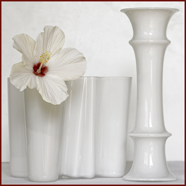 light-on-white-2.jpg