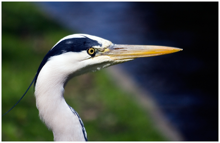 Heron 2
