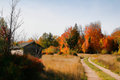 Autumn on a Country Road