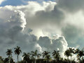 Florida Sky