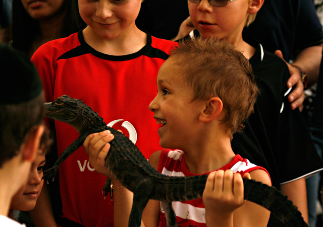 Boys with Baby Alligator