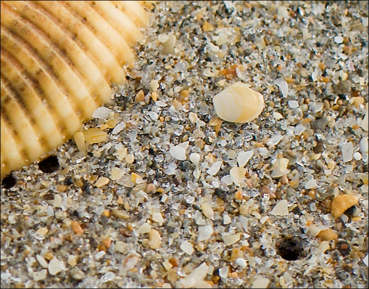 Beach - 1