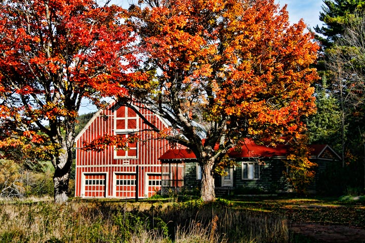 Autumn Barn