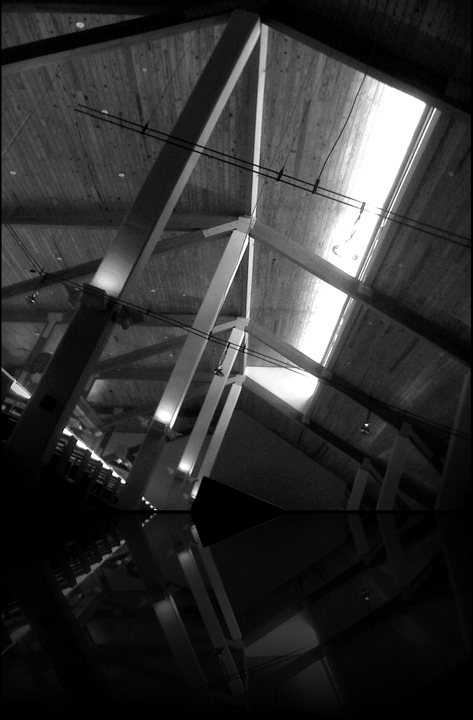 Library Ceiling