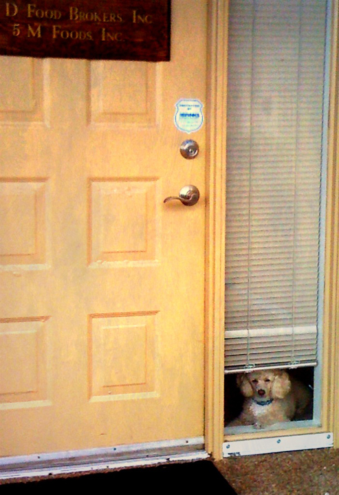 Security