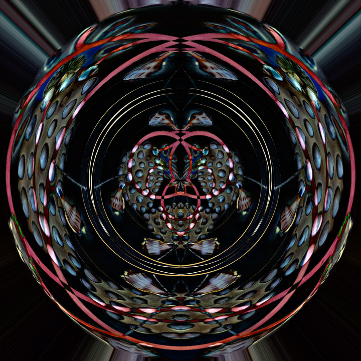 Shells Medallion