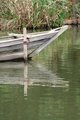 Reflected bow.JPG