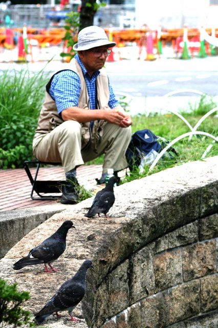 Bird Feeder.JPG