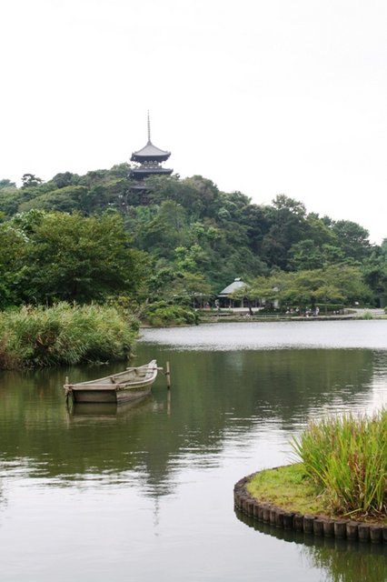 Serene Scene.JPG