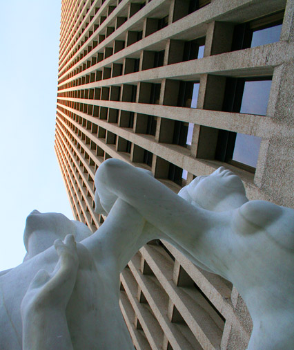 Looking Up.jpg