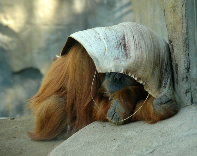 Sleepy Time