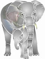 combo-tj-elephant-copy.jpg