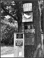 Day-13-BW-WELCOME.jpg