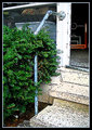 Day-25-handrail.jpg