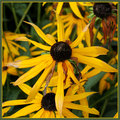 Day-4-Bright-Eyes-IMG_0077.jpg