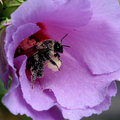 Day 18 100-0035_IMG.jpg