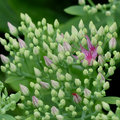Day 20 100-0029_IMG.jpg