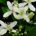 Day 21 100-0040_IMG.jpg