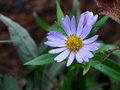 IMG_0134a.jpg
