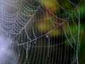 Oct-6-itsy-bitsy.jpg
