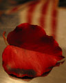 Oct-10-Autumn-USA.jpg