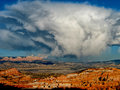 IMG_0011-lucis.jpg