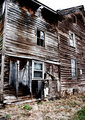 Day-06 IMG_0579.jpg