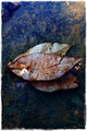 sunken-treasures.jpg