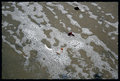 tiny-bubbles.jpg