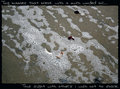 tiny-bubbles2.jpg