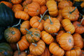 Fall-Produce-IMG_4539.jpg