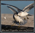 warmth03-IMG_5203.jpg