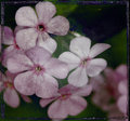 springing.jpg