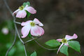 No-7-IMG_5669.jpg