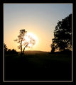NJ-Sunset_6133.jpg