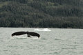 IMG_7678.JPG